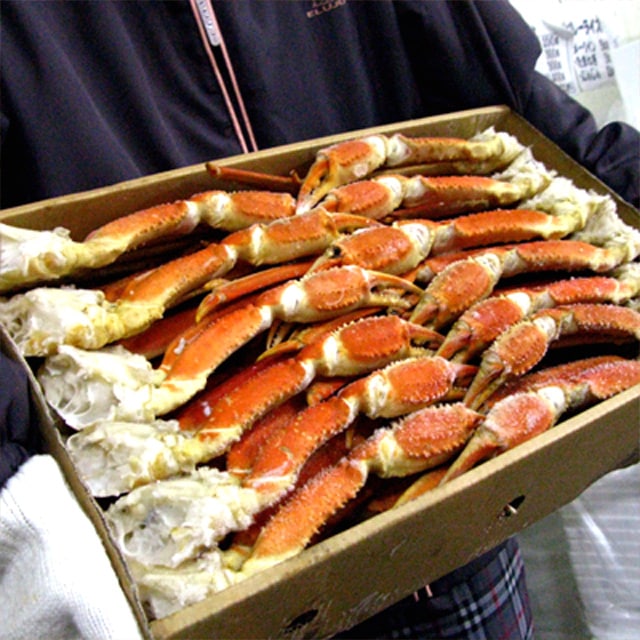 訳あり ボイル 本ズワイガニ 足 5kg 訳あり 脚 ずわいがに脚 業務用 ボイル 22,052円