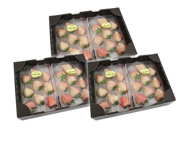 奈良県産 =白いちご コットンベリー= 2pcx3箱 （1pcあたり9-15粒前後 約250g） 予約 1月下旬以降 13,536円