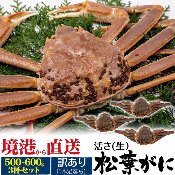 訳あり 足取れ 3杯セット 松葉蟹 活き 生 松葉ガニ 500～600g x3杯 極上 生ガニ 生蟹 松葉かに まつばがに 姿 アウトレット 水揚げ漁港直送 冷蔵便配送