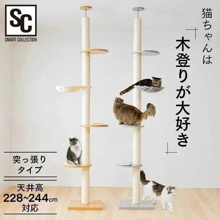 木登りキャットタワー KCCT-244 キャットタワー 猫タワー 突