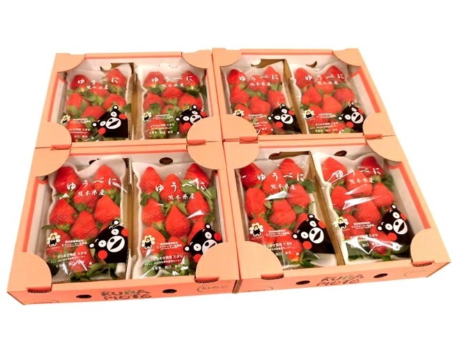 熊本県 =ゆうべにいちご（熊紅いちご）= 秀品 2パック入り（1パック 7-13粒 約250g）x4箱 予約 12月以降