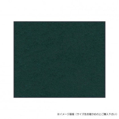 (クリーンテックス) スタンダードマットS ダーク・グリーン 90×180 cm
