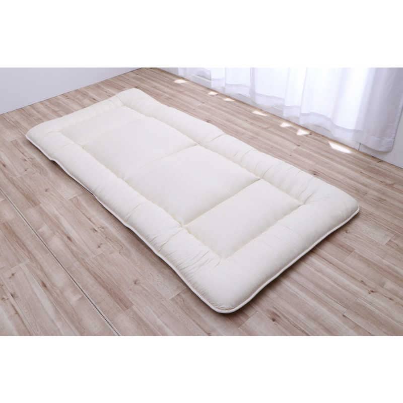 イケヒコ　ダニが減っていく敷ふとん (100×210cm/シングルサイズ/ベージュ)敷き布団