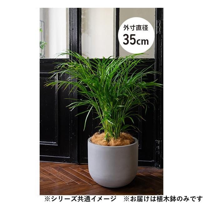グリーンポット 植木鉢 オプティマス Uポット セメント 35cm AN-PU3531CE