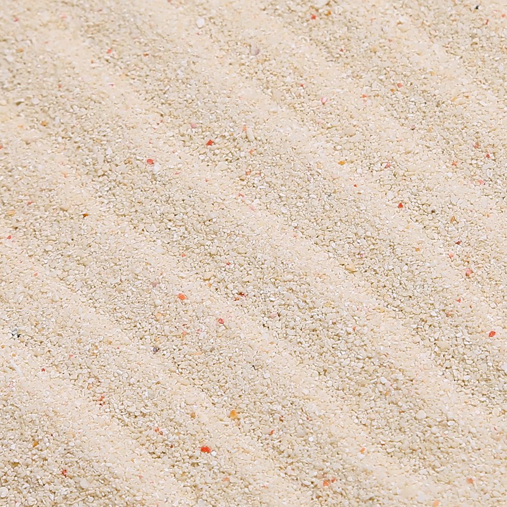 サンゴ砂　ホワイトビーチサンド　９Ｌ　６０ｃｍ水槽用　海水水槽用底砂　お一人様２点限り　ＣＲＣ21―30―70―10―10
