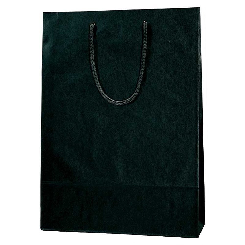 （まとめ買い）ヘイコー 紙袋 手提げ袋 カラーチャームバッグ 2才 33x10x45cm 黒 10枚 5310114 [x3]