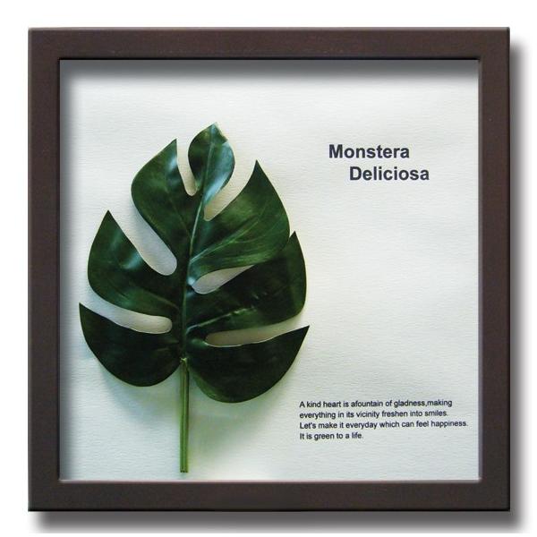 アートフレーム リーフパネル グリーン おしゃれ ウォールデコレーション ナチュラル 壁掛け 飾り 観葉植物 モンステラ MonsteraDeliciosa1 325x325mm
