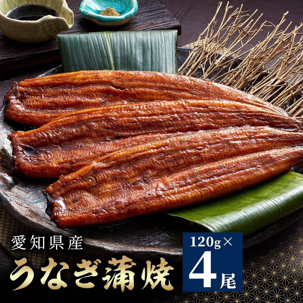 愛知県産うなぎ蒲焼 約120g×4尾入 タレ・山椒付鰻 うなぎ 魚 蒲焼き