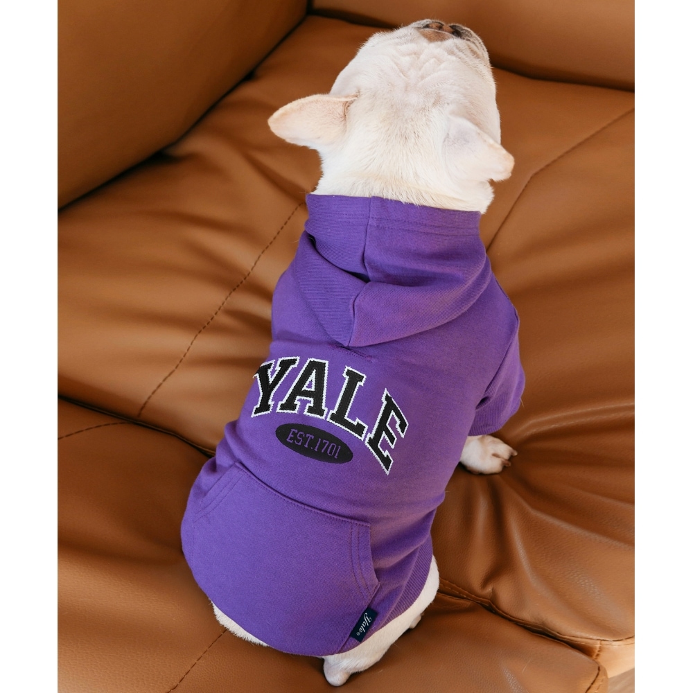 エール2トーンアーチドギーパーカーパープル