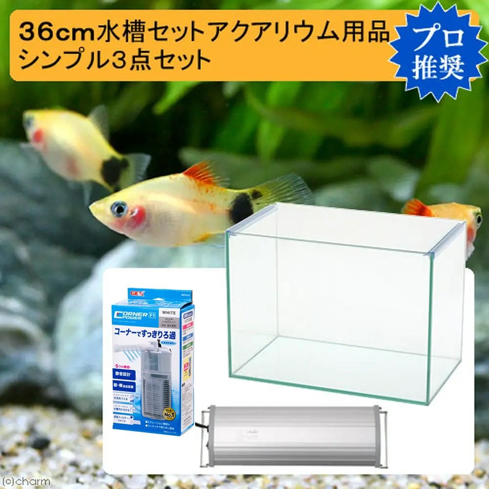 ３６ｃｍ水槽セット　アクアリウム用品シンプル３点（水槽・ＬＥＤライト＆フィルター）プロ推奨・初めての飼育セット　ＣＲＣ10―11―03―30―20