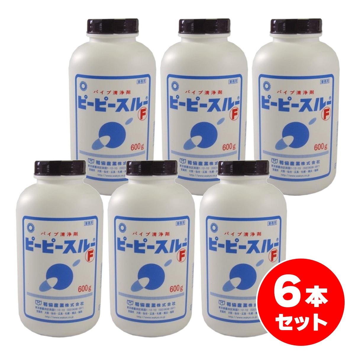 【在庫有・即納】パイプ洗浄剤 ピーピースルーF 600g×6本セット 業務用排水管洗浄剤 臭い つまり 配管掃除