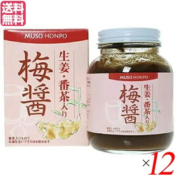 梅醤 梅びしお 梅醤番茶 ムソー 無双本舗 生姜 番茶入り梅醤 ２５０ｇ 12個セット