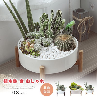 Qoo10] 植木鉢 多肉植物鉢 陶器 大きい 寄せ植
