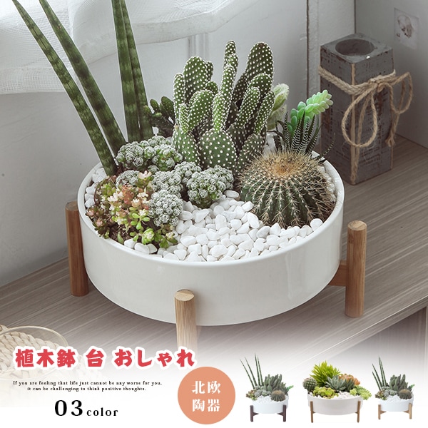 Qoo10] 植木鉢 多肉植物鉢 陶器 大きい 寄せ植