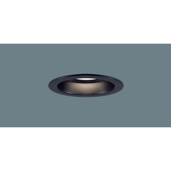 LGD3152LLB1 [SP付DL多灯用子器黒100形拡散電球色]