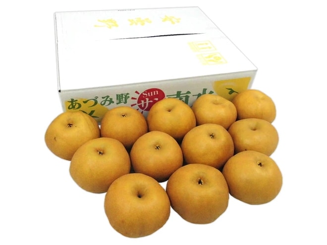 長野安曇野 =サン南水梨= 秀品 大玉10-16玉 約5kg　予約10月以降