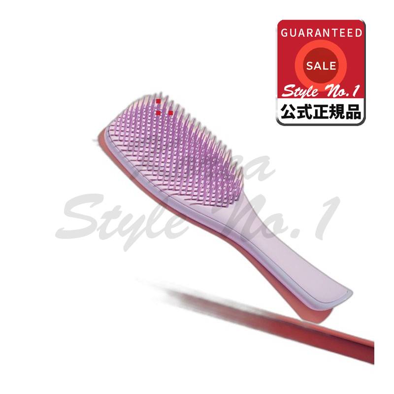 タングルティーザーウェットディタングラーファインアンドプラゾーヒフノティックヘッダーヘアブラシ2個