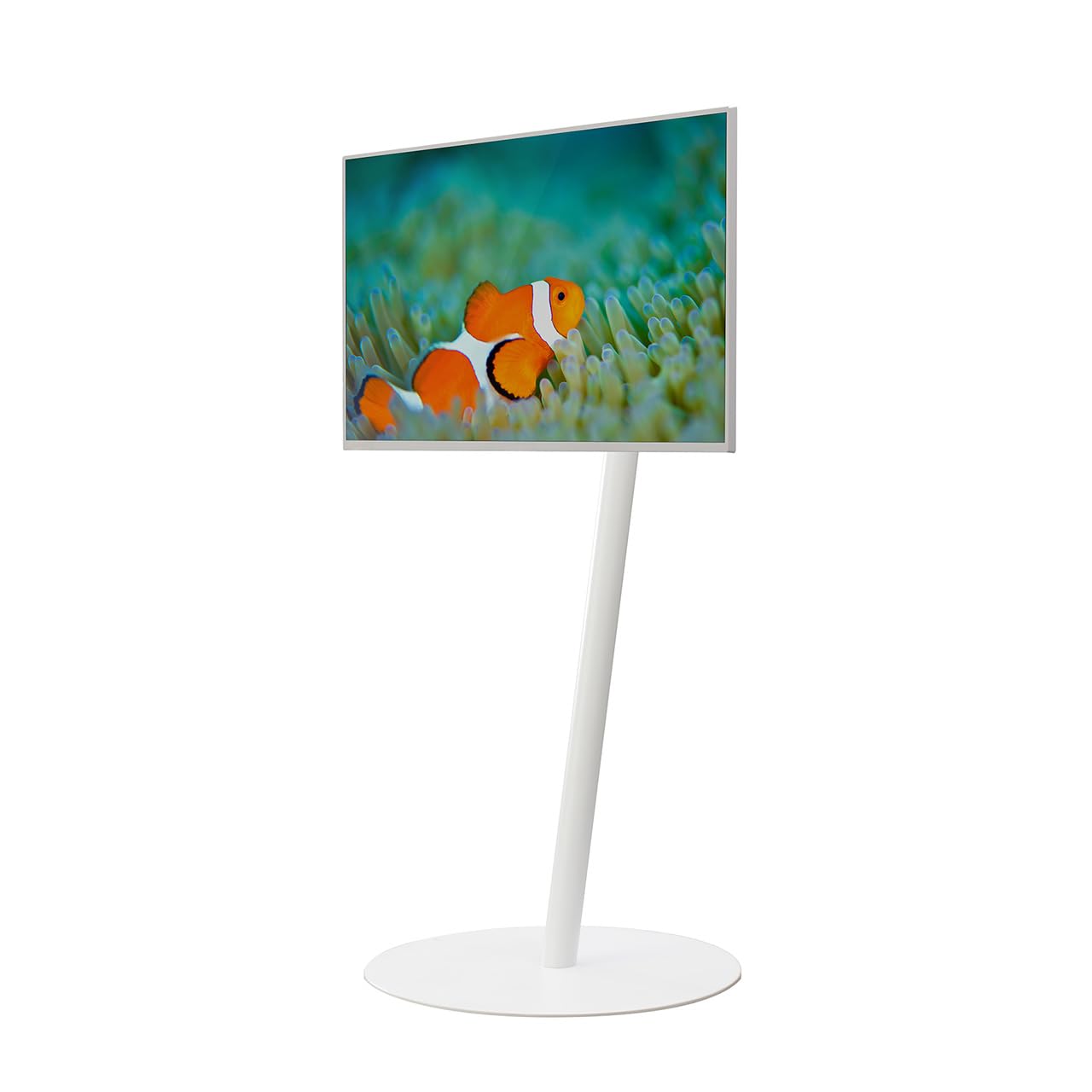 WALL【 グッドデザイン賞受賞 】A2 FLAT BASE テレビスタンド 7の字フレーム ロータイプ サテンホワイト 耐震 震度7対応 高さ5段階調整 24~55インチ対応 白 ホワイト 自立 壁
