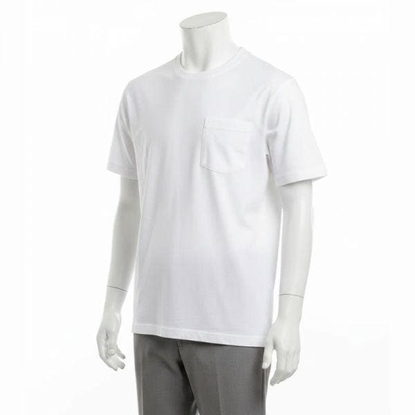 男性コットンインターロックエブリデイゴルフTシャツ GMT000006 SNOW