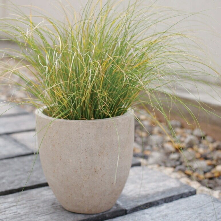 植木鉢 おしゃれ 大型 セメント コーテスラウンドL (2色) 50cm 17号 穴あり プランター 観葉植物向け 17,573円
