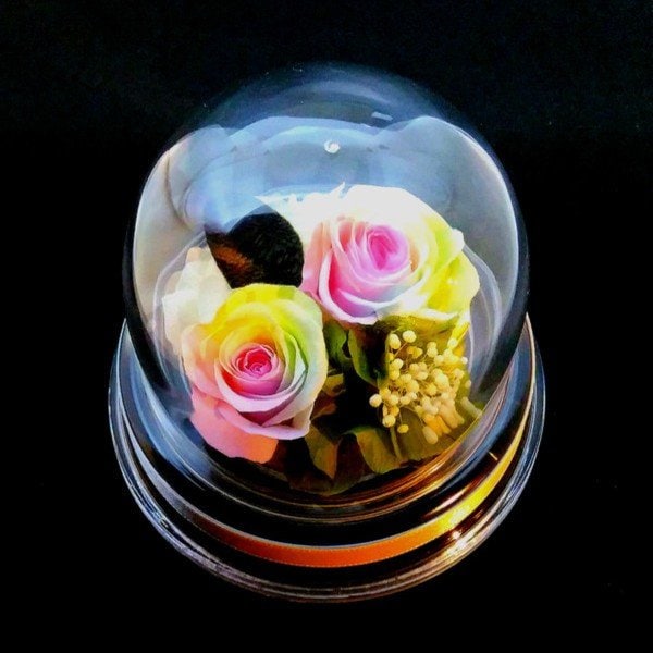 高級プリザーブドフラワーケース入りパステルレインボーローズプチドーム　グリーン　送料無料 お祝い　誕生日結婚祝い　記念品　出産祝い　結婚記念日 　退職祝い　歓送迎会　送別祝い　内祝い　開店祝い