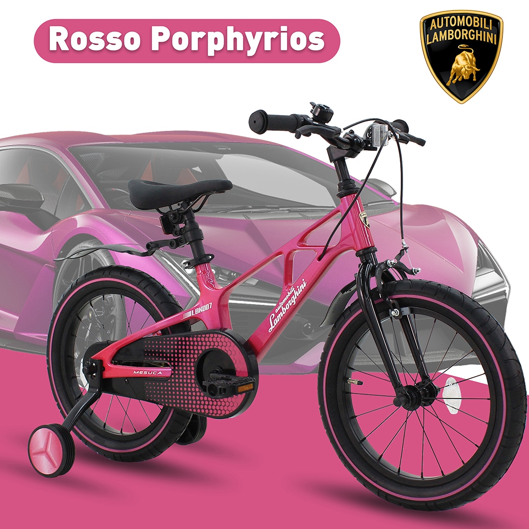 子供用自転車 4歳 5歳 6歳 7歳 8歳 9歳 10歳 14インチ 16インチ 18インチ 補助輪 スタンド 泥除け 超軽量マグネシウム素