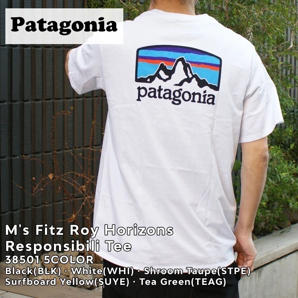 パタゴニア Patagonia Ms Fitz Roy Horizons Responsibili Tee レスポンシビリ 38501 200-008675-240