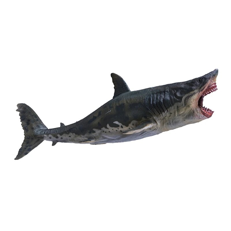 PNSO 1/35 サイズ メガロドン ホホジロザメ サメ こども サメ好きの孫への プレゼント リアル 海洋動物 魚類 フィギュア PVC プラモデル モデル 大人のおもちゃ プレミアム 31.5c