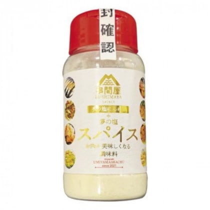 海山社中 串間屋 夢の塩 スパイス 120g×24個
