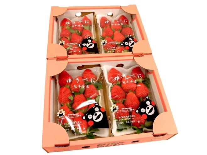 熊本県 =ゆうべにいちご（熊紅いちご）= 秀品 2パック入り（1パック 7-13粒 約250g）x2箱 予約 12月以降