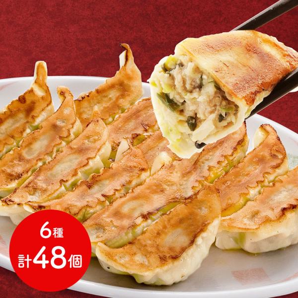 栃木 宇都宮餃子館 お店で人気の宇都宮餃子6種セット SISK