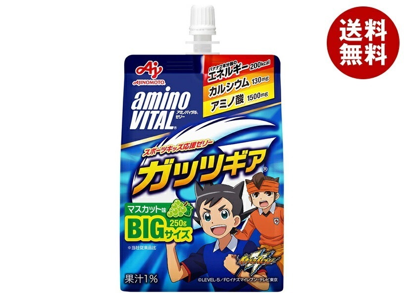 味の素 アミノバイタルゼリー ガッツギア マスカット味 250gパウチ×24本入×(2ケース)