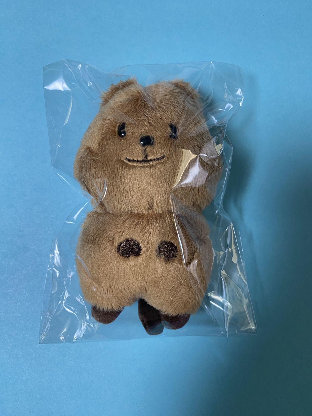 NCT127　ジョンウマスタニム ぬいぐるみ 10cm 　NCT DREAM Jungwoo 金廷祐 Kim Zungwoo 김정우 マスタ 쩡카