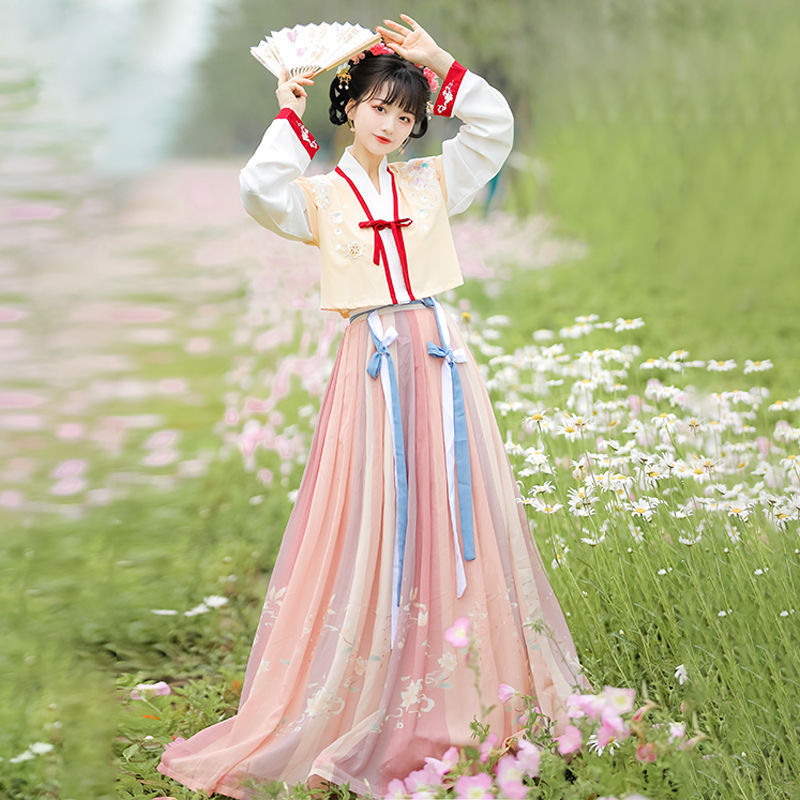 大人の漢服女性の中国風改良唐製北子ウエスト プリーツ スカート スリーピース スーツ毎日春と夏の衣装