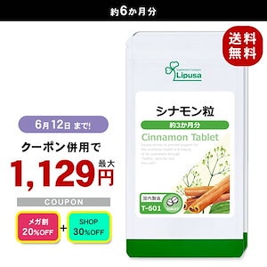 【メガ割セール】 シナモン粒 約3か月分2袋 T-601-2 サプリ 健康食品 45g(125mg 60粒) 2袋