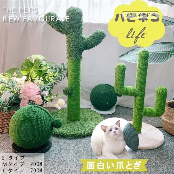 爪とぎ 猫 麻 サボテンとボール型 猫用 ネコつめとぎ 爪研ぎ グリーン おしゃれ 猫グッズ ペット 4,592円