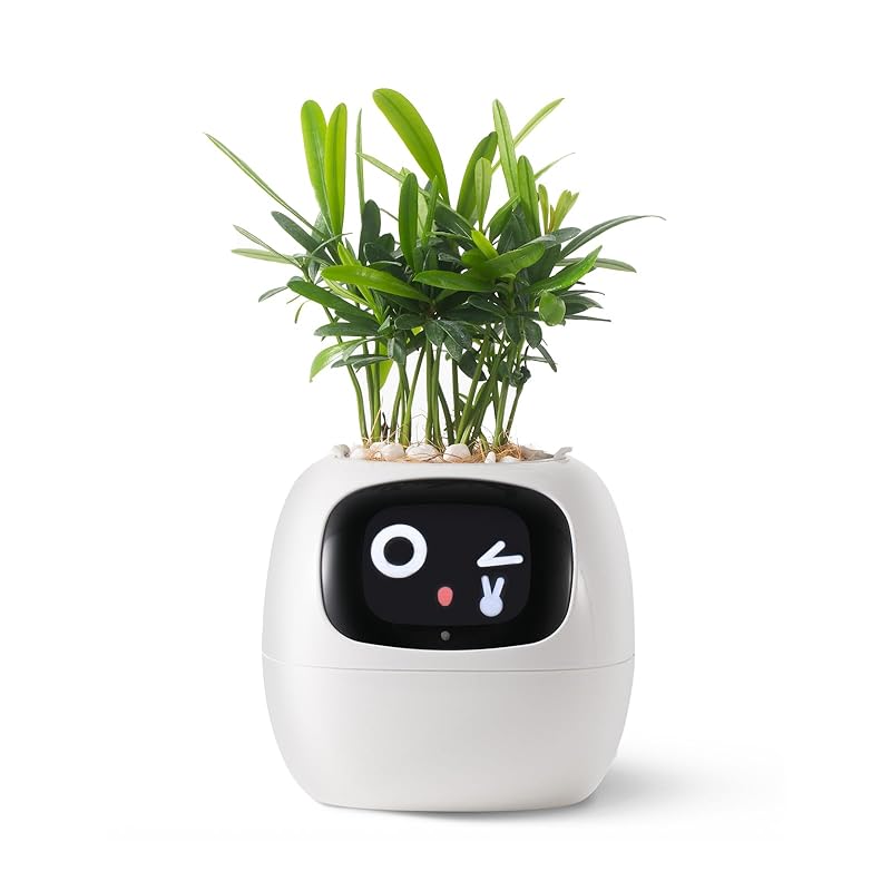 【国内即発】PLANTSIO スマートペットプランター ロボットガイダンス 絵文字付き植物のケア豊かなジェスチャーインタラクションを備えた愛らしい植物の仲間きちんとしたデスクセットアップギフト(ホ
