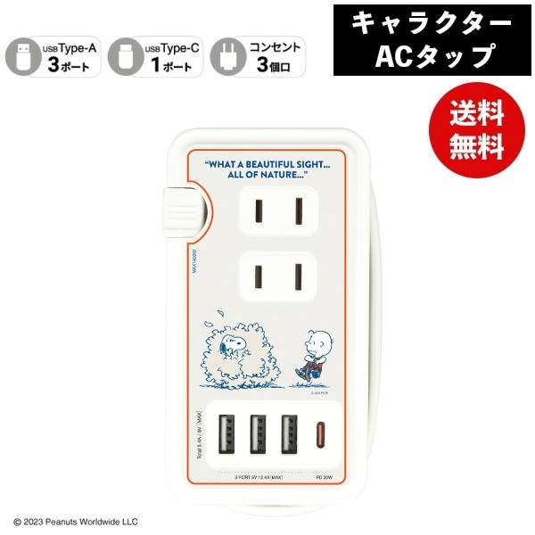 ピーナッツUSB/USB Type-C付き ACタップ チャーリー・ブラウン SNGG-31B スヌーピー 電源タップ コンセント スマホ ACアダプタ AC充電器 ACプラグ USB 充電