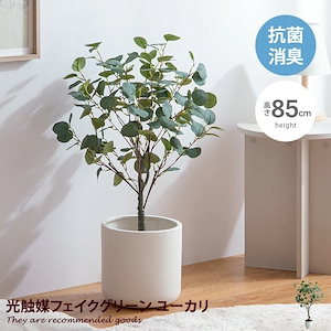 ナチュレ 観葉植物 ユーカリ フェイクグリーン 人工観葉植物 インテリアグリーン 光触媒 空気清浄 消臭 抗菌 防汚 ホルムアルデヒド分解 おしゃれ 高さ85cm 人工 造花 観葉 植物