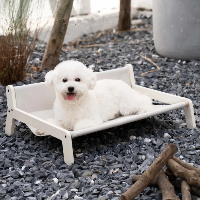 屋内および屋外のペット用ベッド,通気性のあるキャンバスとビーチチェア,子犬と犬用のペット用品