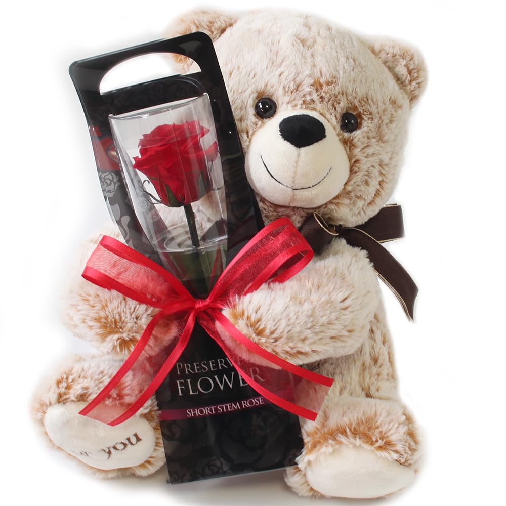 プリザーブドフラワー プリザードフラワー クマさんと一輪の薔薇 レッド プレゼント お祝い 記念日 誕生日 アレンジ フラワーギフト フラワーアレンジメント 枯れないバラ 花 女性 母の日 プレゼント