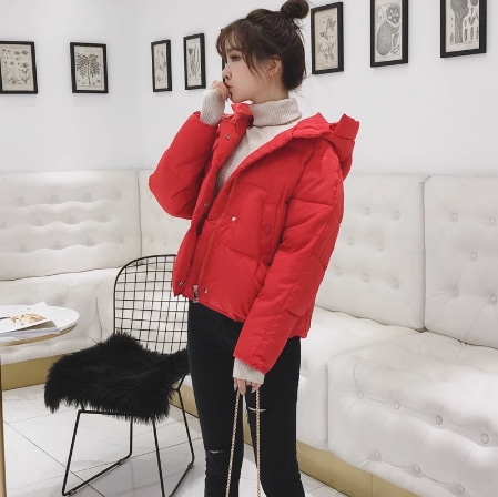 ダウン ダウンジャケット コート ジャケット ダウンコート ショート ショート丈 袖あり 長袖 ジッパー ジップ ファスナー 前開き 綿 コットン 快適 着心地 大人可愛い シンプル カジュアル