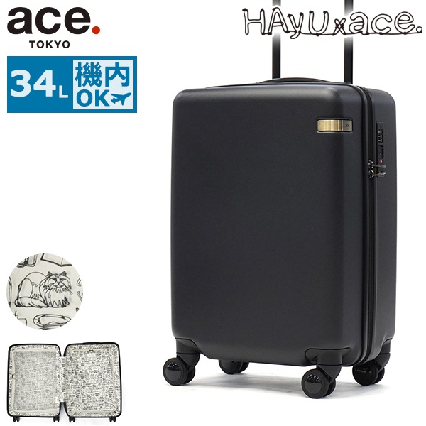 正規品10年保証 スーツケース 機内持ち込み キャリーケース 軽量 軽い 小型 双輪 静音 旅行 出張 トラベル 34L 3～4泊 HAyU パキラ 05781