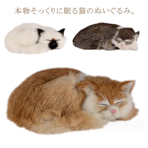 Qoo10] ねこ ぬいぐるみ リアル 本物 そっくり