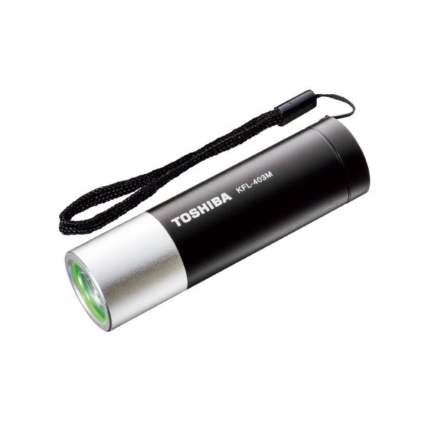 LEDミニカラ―ライトKFL-403Mブラック5本