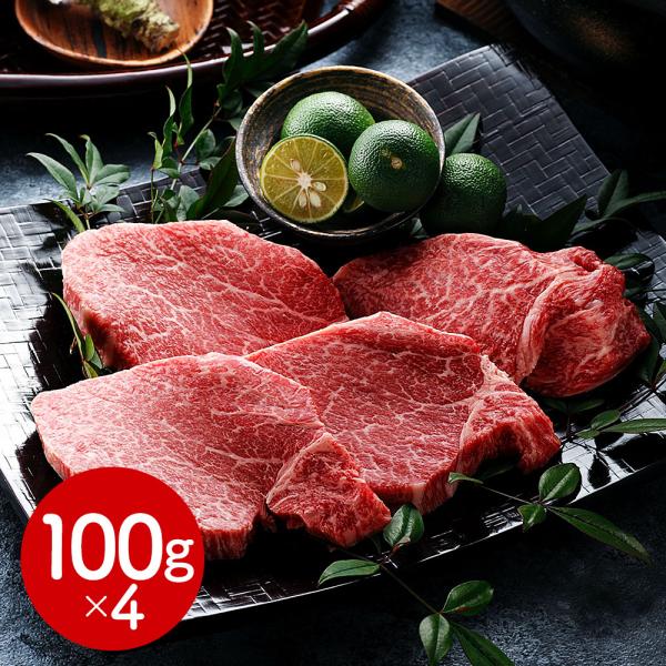 岐阜 「JAひだ」 飛騨牛ヒレステーキ用 400g