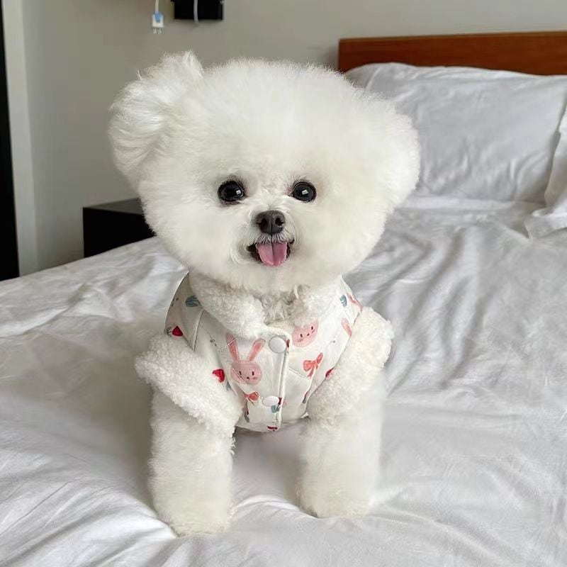 との犬服テディボーミペットのコキシナレビーベア 厚手 暖かい