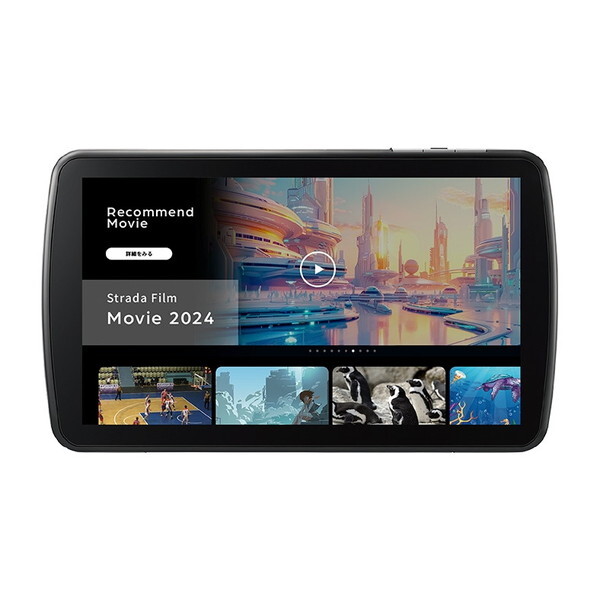 CN-F1D9C1D ストラーダ 9V型 カーナビゲーション