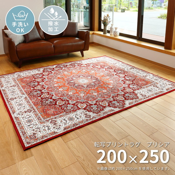 240614020 撥水 高級絨毯風 プリントラグ プリシア 約200250cm メーカー直送