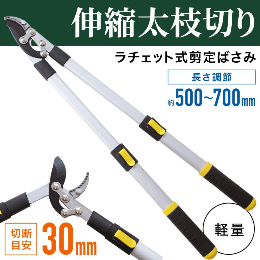 高枝切りバサミ 伸縮 軽量 枝切りはさみ 剪定鋏 剪定ばさみ 枝きりはさみ 高枝切鋏 高枝切り鋏 高枝きりばさみ 超軽量 鋏 手軽 庭木 高枝切り 伸縮ハサミ